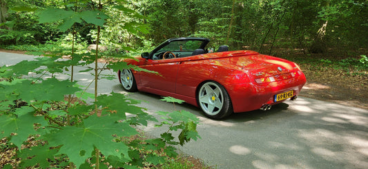 Slammed Spider